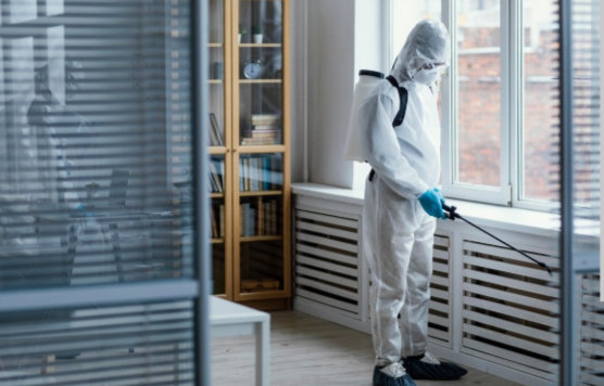 5 Tips to Hire Rodent Pest Control Services